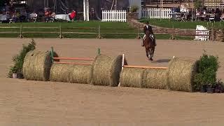 Video of MAITRE D' ridden by AMANDA STEEGE from ShowNet!