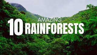 World's Most Beautiful Rainforests: The Most Amazing Rainforests | Vacation Ventures