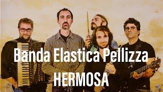 Banda Elastica Pellizza: HERMOSA (live@Teatro Toniolo)