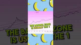 BITCOIN TO $850,000? | Raoul Pal on the Banana Zone