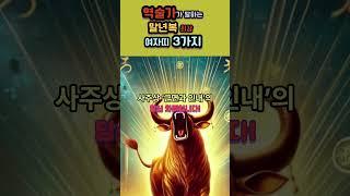 역술가가 말하는 말년복 최강 여자띠  3가지 띠 #사주 #말년복 #소띠토끼띠돼지띠 #운세 #역술가추천 #위로영상 #여자운세