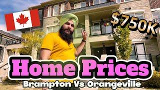 Home prices Brampton Vs Orangeville | Canada House Different prices in Different cities