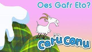 Caru Canu | Oes Gafr Eto? (Welsh Children's Song)