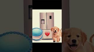 Fridge + dog + cake = #edit #shorts #dog #memes