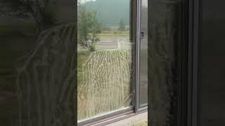 How to Install Reflective Window Film for Maximum Heat Rejection