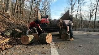 Roadside Logging Day 3: White and Red Oak Firewood