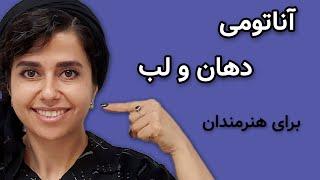 مطالعه آناتومی لب و دهان | آموزش طراحی