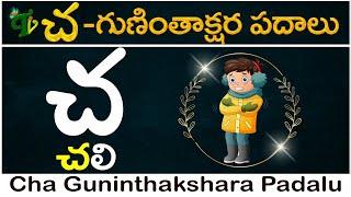 చ గుణింత పదాలు | Cha Gunintha Padalu in telugu #guninthaksharapadalu in telugu | Guninthalu padalu