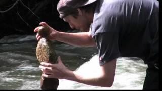 ROCK SCULPTURE ON THE BOULDER CREEK