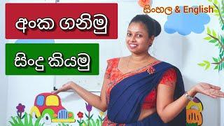 Shani Teacher | අංක ගනිමු සිංදු කියමු |Songs for kids | English |Sinhala|චූටි දූ පුතුන්ට සිංදු දෙකක්