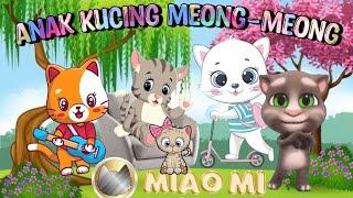 Anak Kucing Meong-meong | Lagu anak anak | spesial miaomi channel | Kucing Meong | Cat Song | Cat