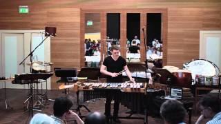 DÁNIEL PLAYS LOOPS II ON VIBRAPHONE