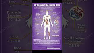 normal ph of the body #trending  #youtubeshort #viral #phvalue