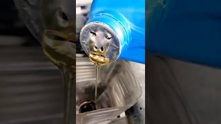 Mechanics do this while changing the oil  #facts