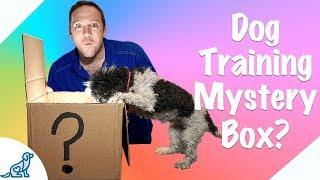 Online Dog Training For Free! - Professional Dog Training Tips