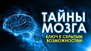 Все тайны человеческого мозга и как его обмануть? Ваш мозг и его развитие. Аудиокнига целиком