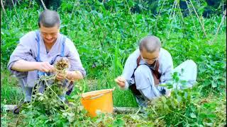 種花生也是修行嗎？探秘寺院裏的美食|曹洞佛學院|曹山寶積寺|養立法師|當代比丘尼真實的修行生活