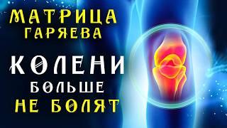 Единственная Матрица Гаряева для Коленного Сустава ️ Полное Восстановление Коленей Звуком