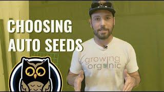 BuildASoil: CHOOSING AUTO SEEDS (Night Owl Unboxing)