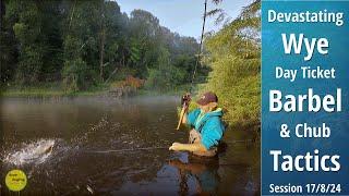 EPIC Day Ticket River Wye Barbel Fishing - Approach, Tactics & Bait - 17/8/24 (Video 511)