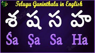 Se Sha Sa Ha Guninthalu English | How to write శ  ష స హ Guninthalu English |Learn #Guninthalu