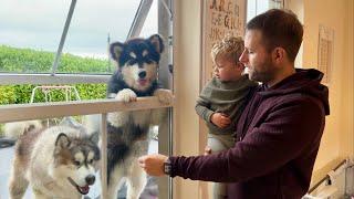 How Much Is That Doggy In The Window?? Woof (Cutest Ever!!)