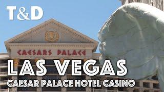 Las Vegas City Guide: The Caesar Palace in Las Vegas Strip - Travel & Discover