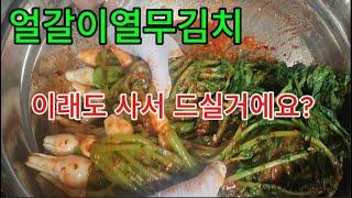 얼갈이열무김치 아삭아삭 풋내없이 맛있게 담그는법 #(with CLOVA Dubbing)