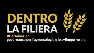 Dentro la filiera - Cerealicoltura naturale nel Salento