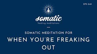 Supporting Yourself Through Strong Emotions  (A Somatic Meditation For When You’re Freaking Out)