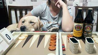 Dog and Backgammon / Собака за игрой нарды