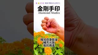 金剛手印《神奇的神奇力量》補充元氣 抵抗病毒 #花覺醒 #心靈療癒 #手印
