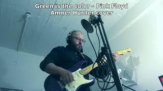 Green is the color - Pink Floyd (Amner Hunter Cover)