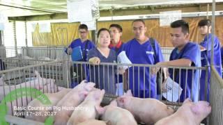 IMPRESSIONS - Basic Course on Pig Husbandry (2017)