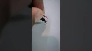 Ak ️ #ajitnaikofc #signature #artdrawing #drawing #calligraphymasters #calligraphyart #shorts