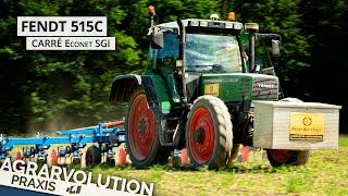 Fendt 515C + Carré Econet SGI with Elément L • Hoeing maize | Agrarvolution Praxis