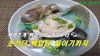 백합조개 백합요리 조개탕만들기 해감부터 초간단 백합탕 끓이기까지..