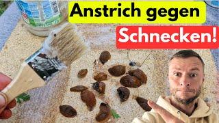 ANSTRICH gegen SCHNECKEN selber herstellen! Das funktioniert wirklich 