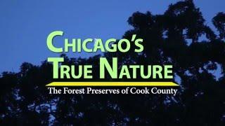 Coming May 2016 - Chicago’s True Nature: The Forest Preserves of Cook County