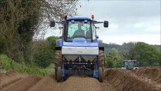 Potato Planting On Bradley Farm