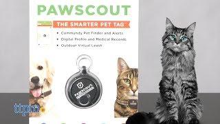 Pawscout The Smarter Pet Tag from Worldwise