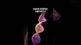 DNA와 유전자는 다른거라고?