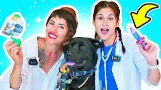 Ayşe ve Ümit ile veteriner oyunları! Köpek Black'e aşı yapıyoruz! Eğitici videolar