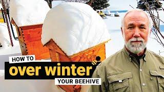 TheBeekeeper.org - How to overwinter your beehive