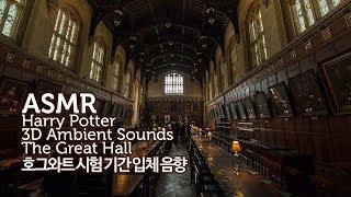 ASMR Harry Potter●O.W.L.Exam Period of Hogwarts The Great Hall 3D Ambient Sounds | Study Aid