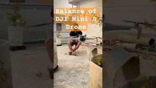 DJI Mini 3 Balance!! #drone #dronevideo #droneshots #foryoupage #shortsfeed #feedshort