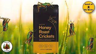 Snack of the Week (Episode 66) - Honey Roast Crickets