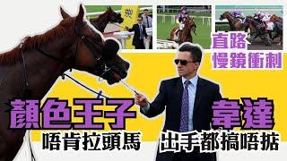 顏色王子險勝張燈結綵 直路慢鏡衝刺 | 韋達出手都唔肯就範去拉頭馬 | COLOURFULPRINCE Lyle Hewitson