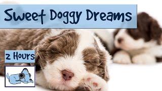 2.5 HOURS of Sweet Doggy Dreams Music. Send your Dog to Sleep with this Music!