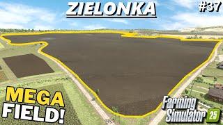 CREATING THE BIGGEST FIELD POSSIBLE! 31 FIELDS INTO 1! | Zielonka | Farming Simulator 25 | FS25 #37